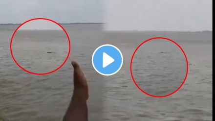 Crocodile Attack video 13 Year Old Boy Disappears Into River In Up shocking video goes viral on social