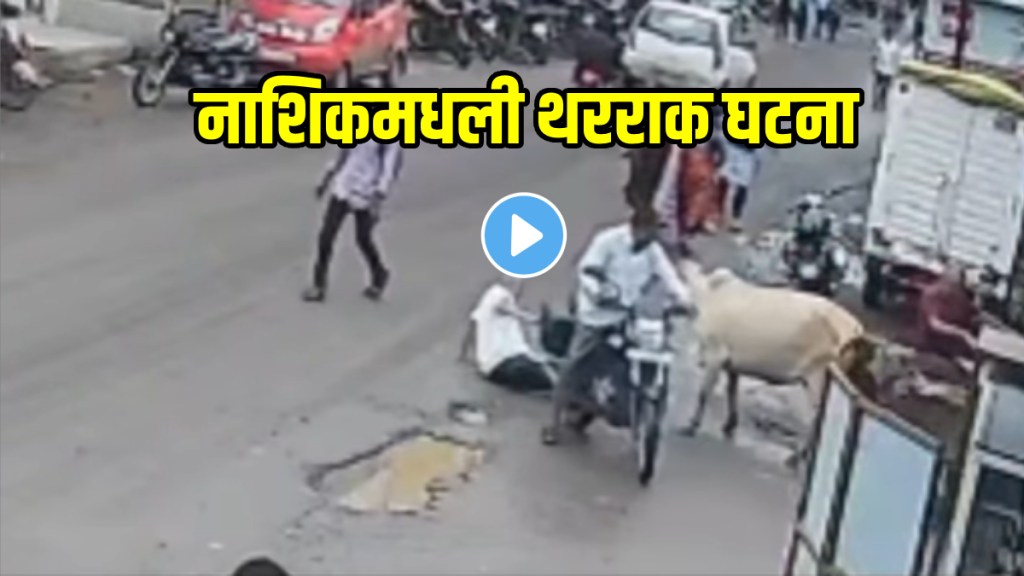 Nashik's Kalwan, where an 85-year-old man was tragically gored and trampled to death by stray cattle shocking video