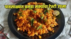 मक्याचं कणीस नेहमीच भाजून खातो, आता करा मक्याच्या किसाचा पारंपरिक उपमा; एकदा खाल तर खातच रहाल