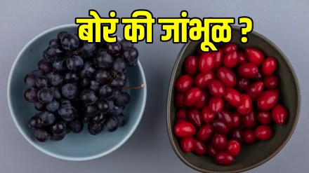 Ber vs Jamun: Here’s what you should you eat in summer