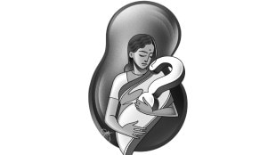 Loksatta chaturang Pregnancy Woman Physical and Mental Preparation