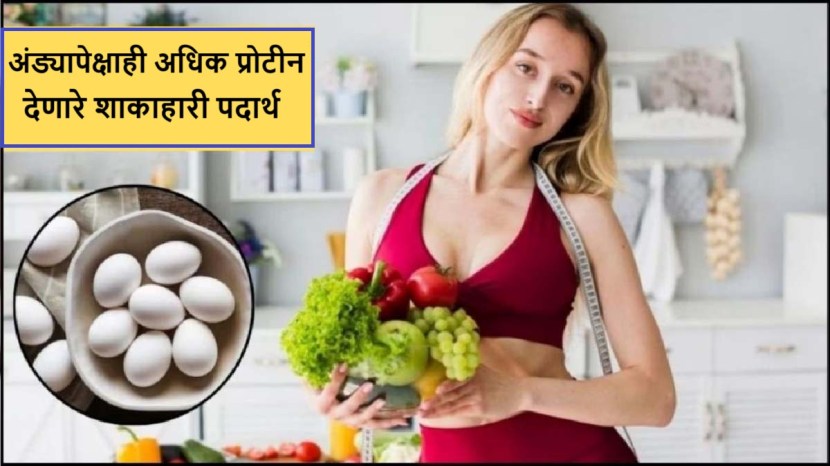 निरोगी आणि तंदुरुस्त शरीरासाठी, आहारात भरपूर प्रथिने आणि लोहयुक्त पदार्थ असणे आवश्यक आहे, कारण प्रथिने शरीरातील एक अतिशय महत्त्वाचे पोषक तत्व आहे, जे शरीराच्या प्रत्येक पेशीमध्ये आढळते. स्नायू, हाडे, त्वचेसाठी मुख्य घटक आहे. प्रथिनांचे मुख्य काम शरीराची झीज भरून काढणे आणि नवीन पेशी तयार करणे आहे. ते एंजाइम आणि हार्मोन्स म्हणून देखील कार्य करते आणि रोगप्रतिकारक शक्ती वाढवण्यास मदत करते. (फोटो - फ्रीपिक)