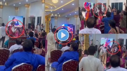 RCB celebrated their first IPL title Karnataka couple puts wedding on hold for RCB vs PBKS finale Video Viral