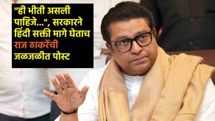 Raj Thackeray big reaction on three language policy