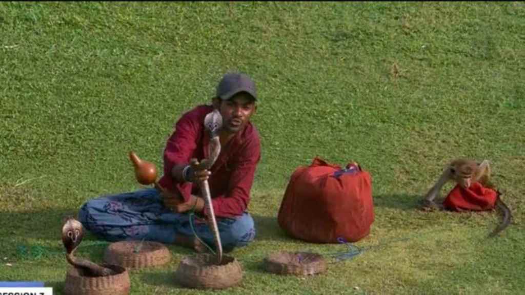 कसोटी सामन्यात चकित करणारं दृश्य (फोटो- X)