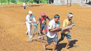 Sangli - 35 percent kharif sowing in the district