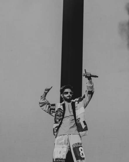 Anirudh Ravichander Net Worth, SRH Kavya Maran Net Worth, Kavya Anirudh Marriage
