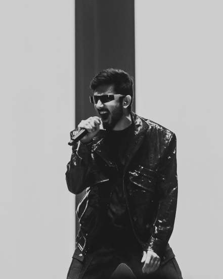 Anirudh Ravichander Net Worth, SRH Kavya Maran Net Worth, Kavya Anirudh Marriage