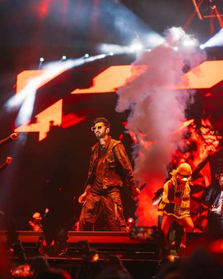Anirudh Ravichander Net Worth, SRH Kavya Maran Net Worth, Kavya Anirudh Marriage