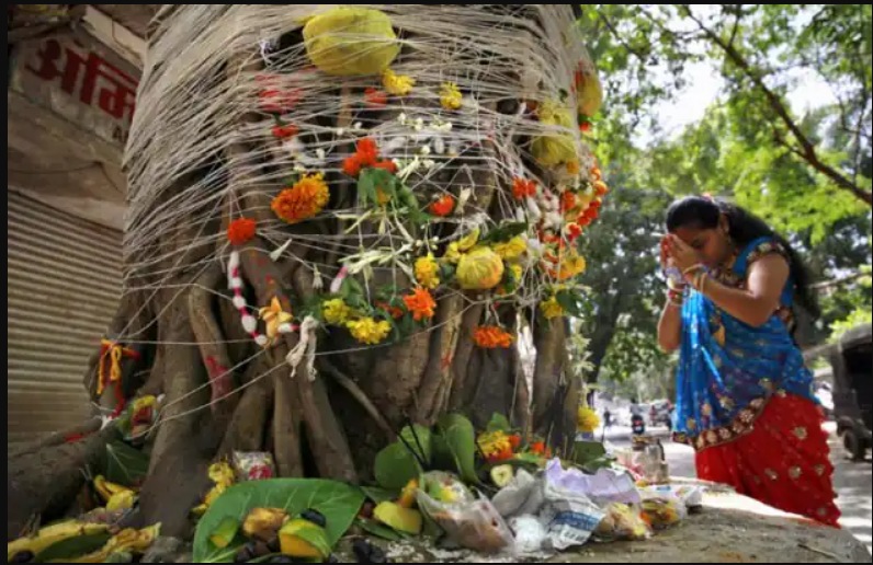 vat purnima 2025 vrat important of 5 fruits