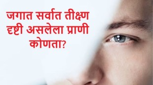 Sharp Eysight