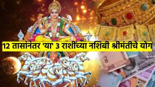 Surya gochar 2025 in mithun