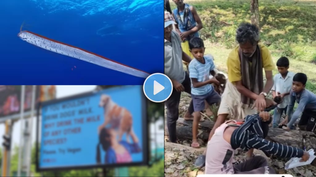 Today's Trending News Live Updates in Marathi