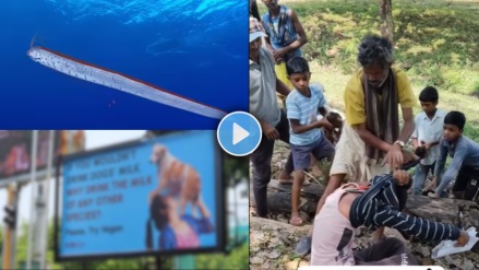 Today's Trending News Live Updates in Marathi