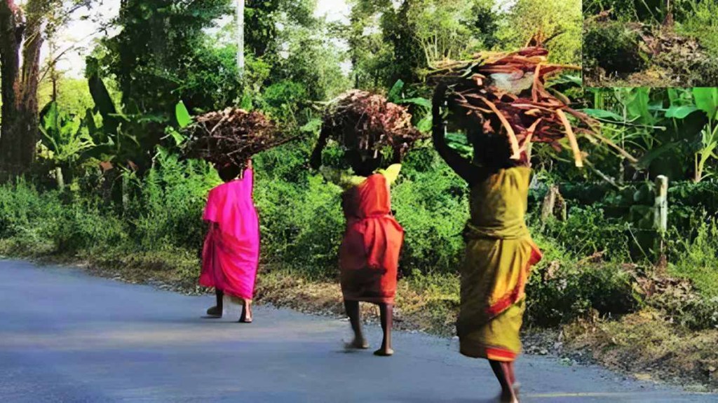 Loksatta lokjagar Tribal Development Mahayuti Government State Scheduled Tribes Commission