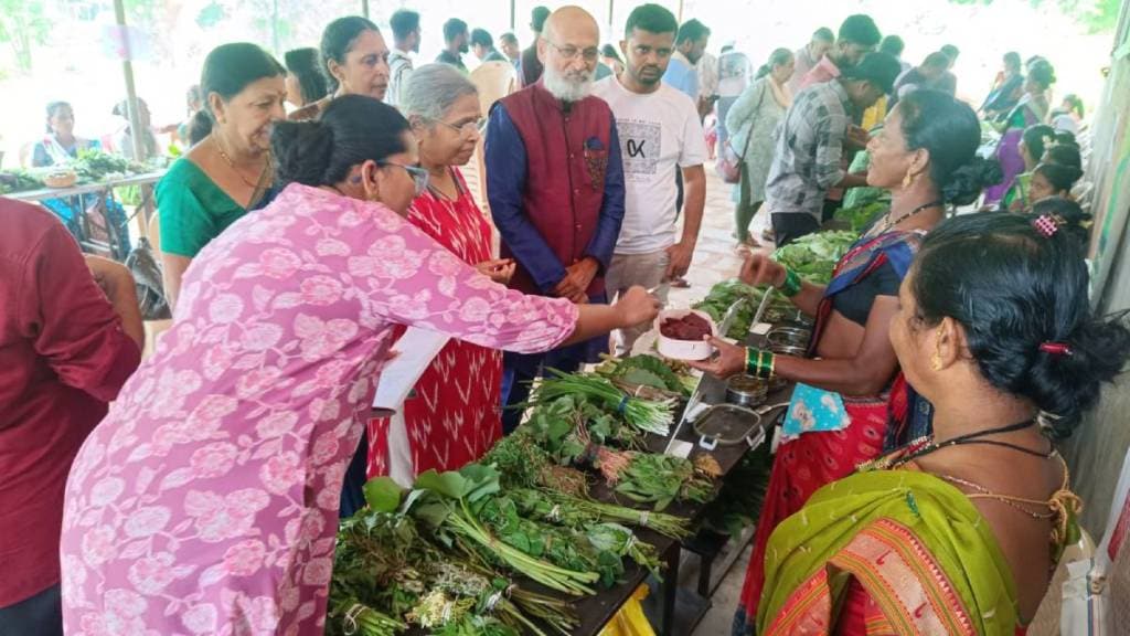 Hirvya devachi yatra news in marathi Hirvya devachi yatra news in marathi