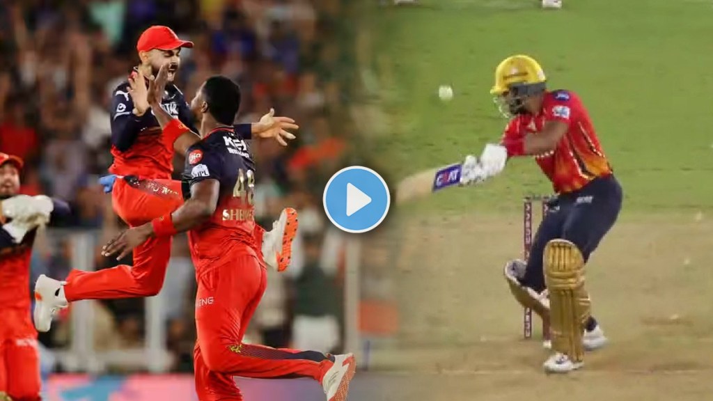 Virat Kohli and RCB Wild Celebration of Shreyas Iyer Wicket by Romario Shephard vs PBKS IPL 2025 Final Watch Video
