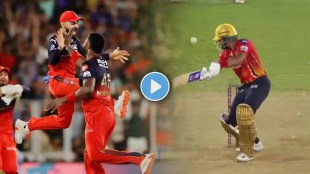 Virat Kohli and RCB Wild Celebration of Shreyas Iyer Wicket by Romario Shephard vs PBKS IPL 2025 Final Watch Video