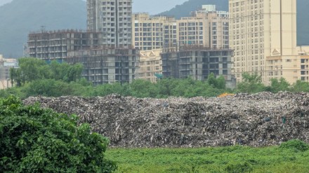 Diva-Sabe mangrove flooding case, mangrove flooding case, Revenue Department files cases,
