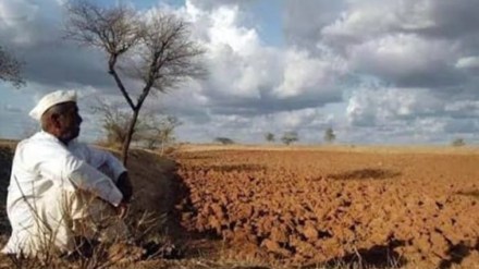 Rice crop farmer Gondia , Gondia rain, Rice crop Gondia ,