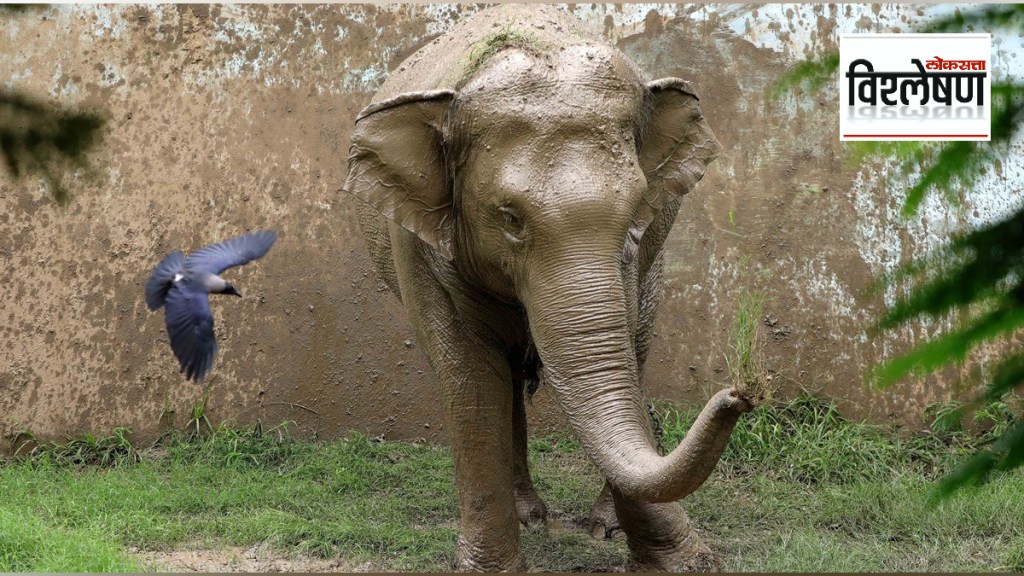 Lokstata explained Will the issue be resolved by amending the Wildlife Protection Act Lokstata explained Will the issue be resolved by amending the Wildlife Protection Act