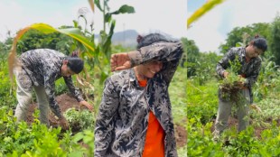 aai kuthe kay karte fame ashwini mahangade shared video of working in farm