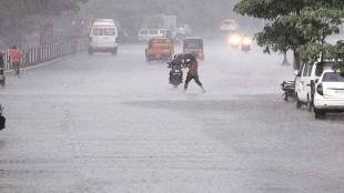 Heavy rains raised Veer Kanher and Urmodi dam levels water
