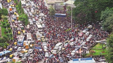 bengaluru stampede
