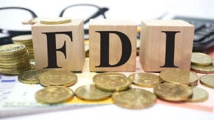 foreign direct investment