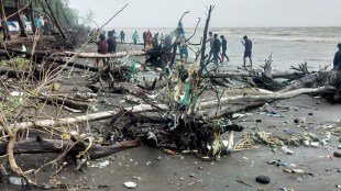 sea Waves destroy orchards farms