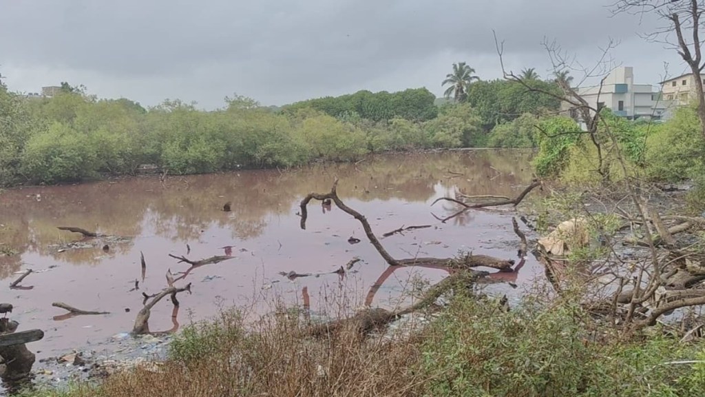 vasai virar chemical water destroys Mangroves vasai virar chemical water destroys Mangroves