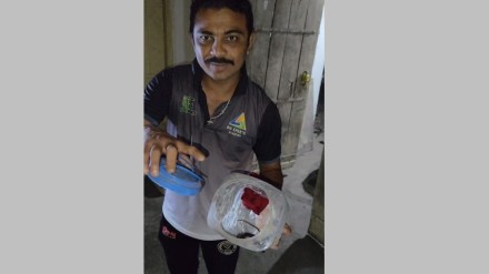 snake in nagpur latest news in marathi