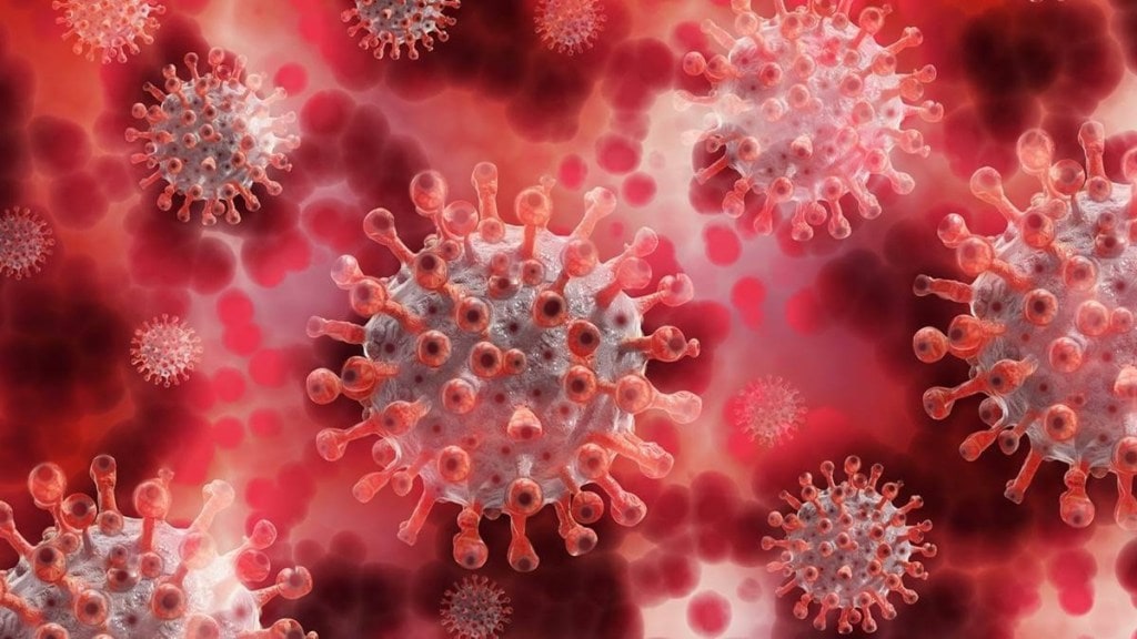 covid cases decline in maharashtra june daily updated data