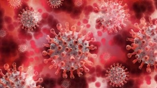 covid cases decline in maharashtra june daily updated data