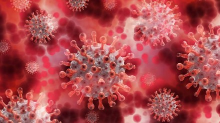 covid cases decline in maharashtra june daily updated data
