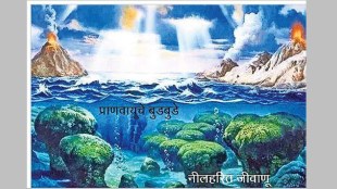 oxygen latest news in marathi