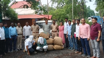 nanded 18 quintal ganja seized