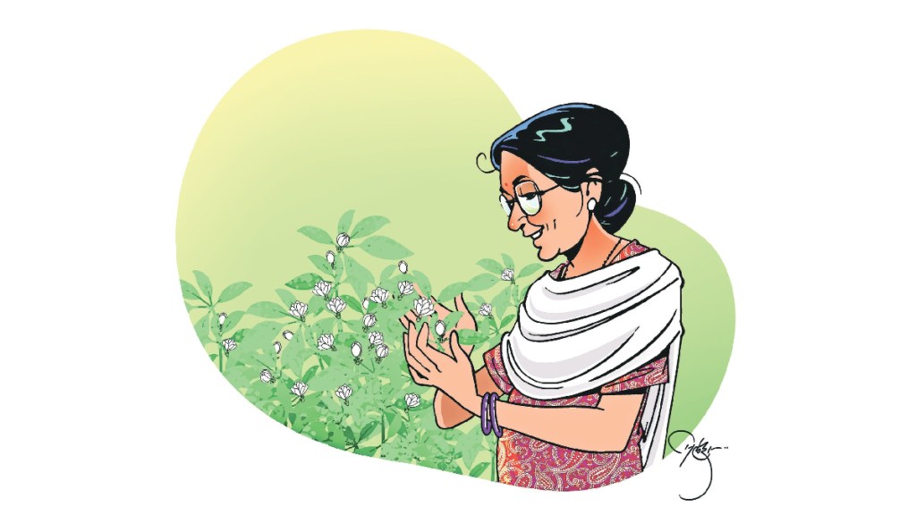 loksatta chaturang retired from job what reader after retirement