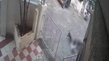Dombivli Mothagaon Reti Bunder child injured in attack of Five stray dogs
