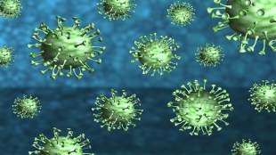 COVID 19 cases rise in Maharashtra
