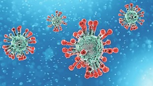 pune iiser develops enhanced rna sensors for covid 19 and zika detection