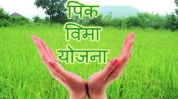 मराठवाड्यातील तीन जिल्हे खरीप पीक विमा नोंदणीत पिछाडीवर