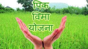 jalna district sees only six percent crop insurance registration for kharif season farmers in Marathwada