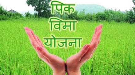 jalna district sees only six percent crop insurance registration for kharif season  farmers in Marathwada
