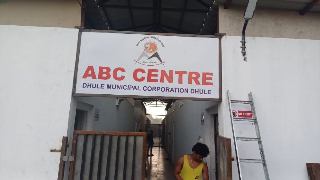 dhule stray dog neutering campaign