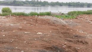 dombivli environmental damage mangrove cutting and land reclamation illegal activity