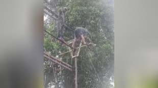 Workers on electricity poles in the rain to restore power supply akola news