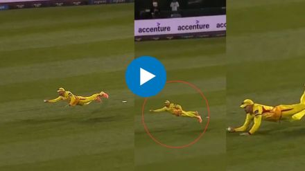 faf du plessis