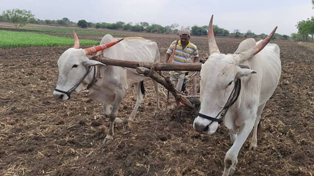 farming, Kharif season delay news