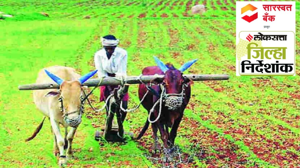 Growth of agriculture and industrial sectors in Kolhapur